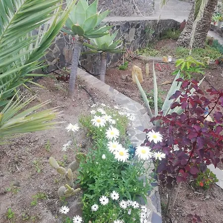 Farm stay Casa Majores Vallehermoso